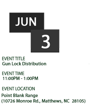 Gun Lock